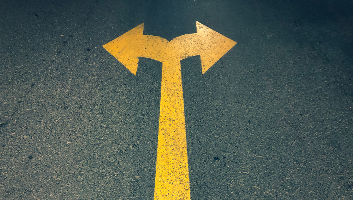 Haz una mejor toma de decisiones con SAP Business One